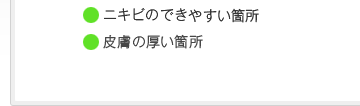 ニキビのできやすい箇所,皮膚の厚い箇所