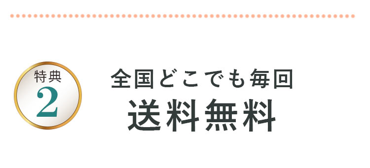 全国どこでも送料無料