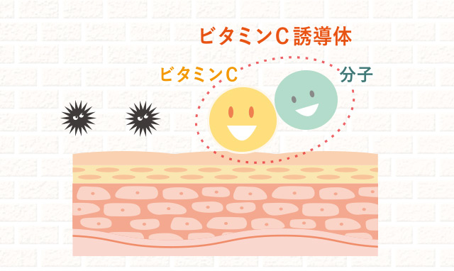 ビタミンC誘導体 ビタミンC 分子