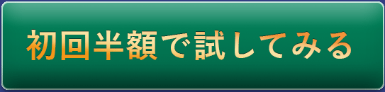 初回半額で試してみる