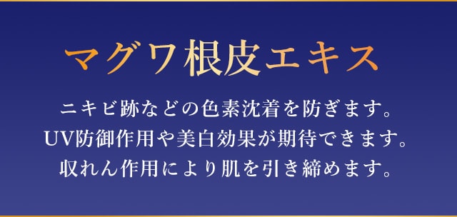 マグワ根皮エキス