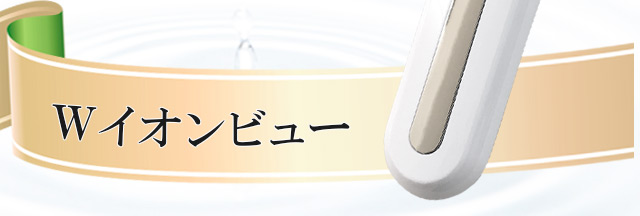 Ｗイオンビュー