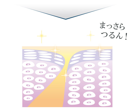 まっさらつるん!肌断面図