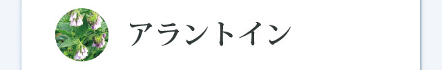 アラントイン