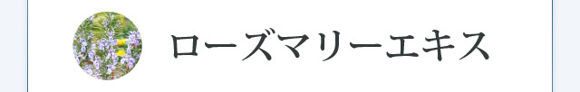 ローズマリーエキス