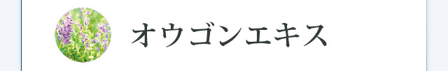 オウゴンエキス