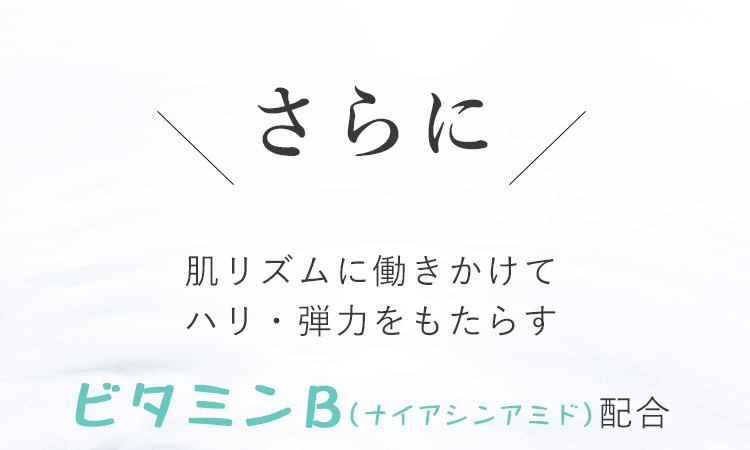 肌のターンオーバーを整えてハリ・弾力をもたらす　ビタミンB　（　ナイアシンアミド配合　）